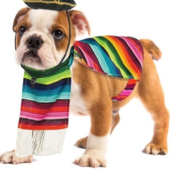 NWT RUBIES PET SHOP BOUTIQUE CINCO DE MAYO DOG COSTUME Serape Medium / Large New - Picture 7 of 8